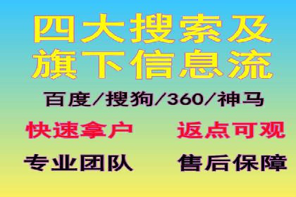 某电商平台的SEM投放全流程案例