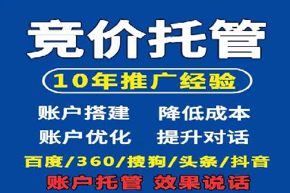 SEM优化实战：案例分析与优化建议